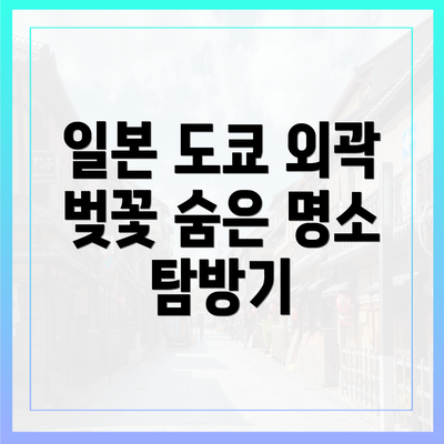 일본 도쿄 외곽 벚꽃 숨은 명소 탐방기