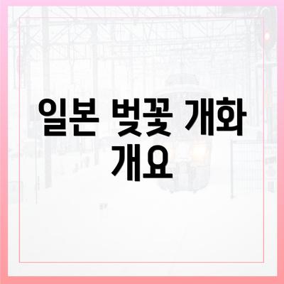 일본 벚꽃 개화 개요
