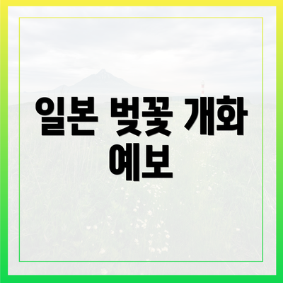 일본 벚꽃 개화 예보