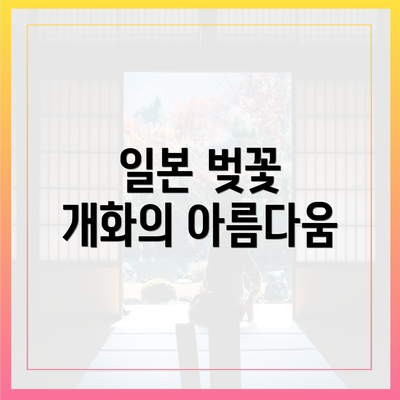 일본 벚꽃 개화의 아름다움