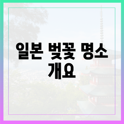 일본 벚꽃 명소 개요