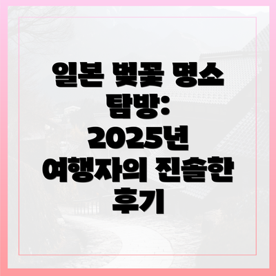 일본 벚꽃 명소 탐방: 2025년 여행자의 진솔한 후기