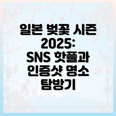 일본 벚꽃 시즌 2025: SNS 핫플과 인증샷 명소 탐방기