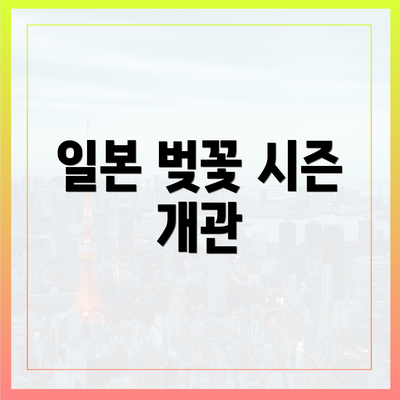 일본 벚꽃 시즌 개관