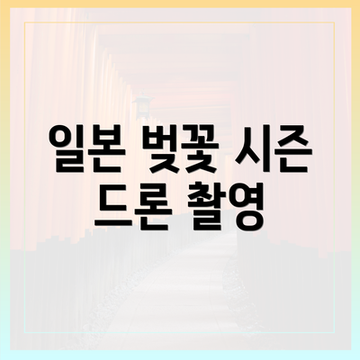 일본 벚꽃 시즌 드론 촬영