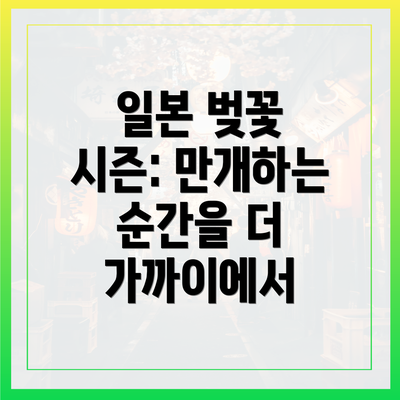 일본 벚꽃 시즌: 만개하는 순간을 더 가까이에서