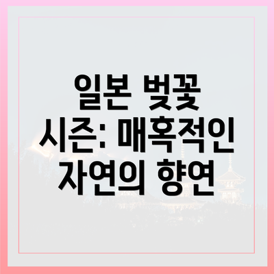 일본 벚꽃 시즌: 매혹적인 자연의 향연