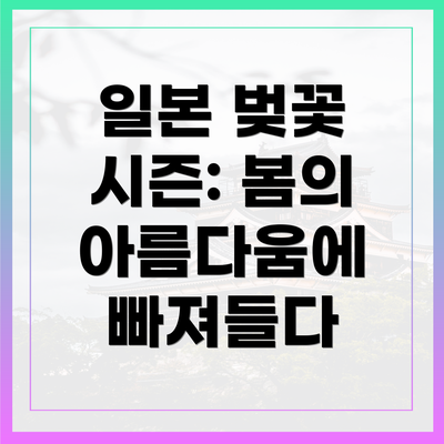 일본 벚꽃 시즌: 봄의 아름다움에 빠져들다