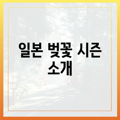 일본 벚꽃 시즌 소개