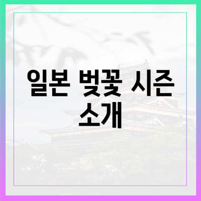 일본 벚꽃 시즌 소개