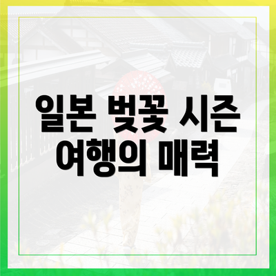 일본 벚꽃 시즌 여행의 매력