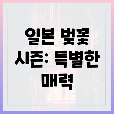일본 벚꽃 시즌: 특별한 매력