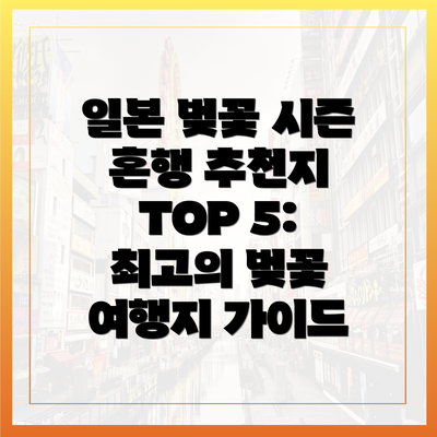 일본 벚꽃 시즌 혼행 추천지 TOP 5