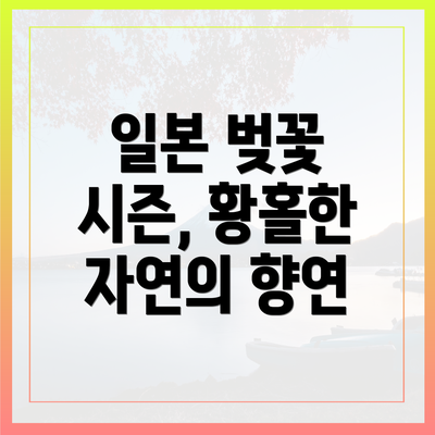 일본 벚꽃 시즌, 황홀한 자연의 향연