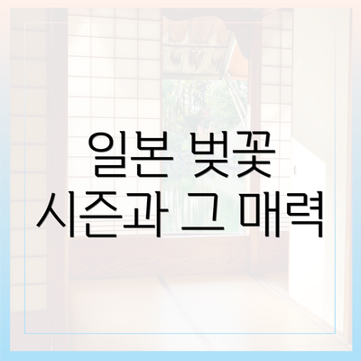 일본 벚꽃 시즌과 그 매력