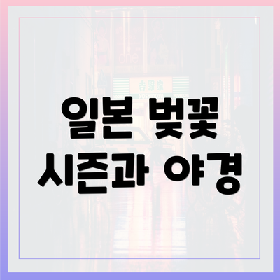 일본 벚꽃 시즌과 야경