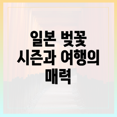 일본 벚꽃 시즌과 여행의 매력