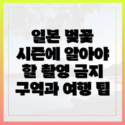 일본 벚꽃 시즌에 알아야 할 촬영 금지 구역과 여행 팁
