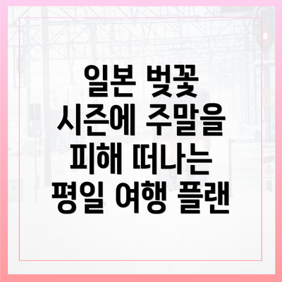일본 벚꽃 시즌에 주말을 피해 떠나는 평일 여행 플랜