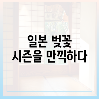 일본 벚꽃 시즌을 만끽하다