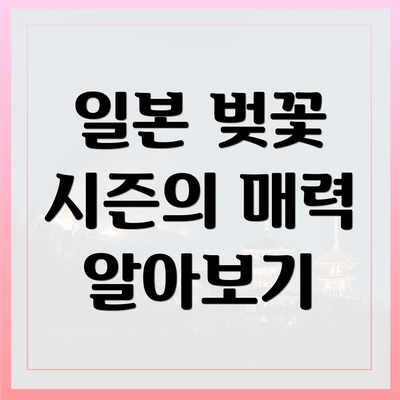 일본 벚꽃 시즌의 매력 알아보기