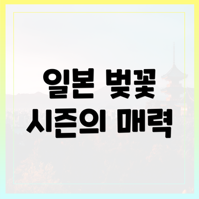 일본 벚꽃 시즌의 매력
