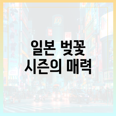 일본 벚꽃 시즌의 매력