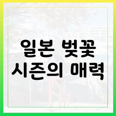 일본 벚꽃 시즌의 매력