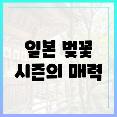 일본 벚꽃 시즌의 매력