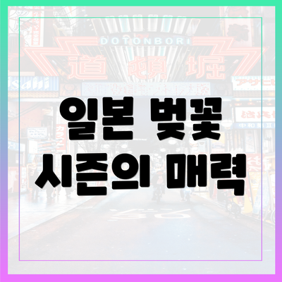 일본 벚꽃 시즌의 매력