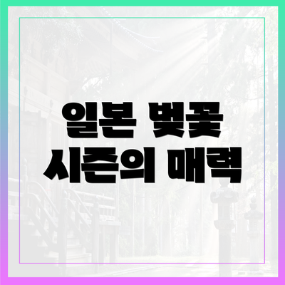 일본 벚꽃 시즌의 매력