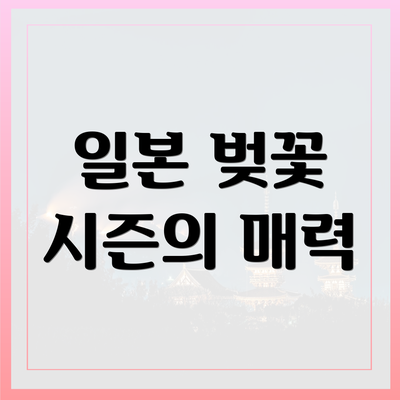 일본 벚꽃 시즌의 매력