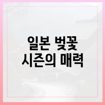 일본 벚꽃 시즌의 매력