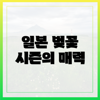 일본 벚꽃 시즌의 매력