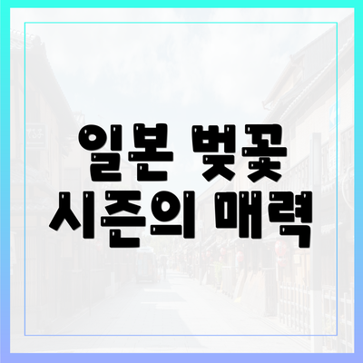 일본 벚꽃 시즌의 매력