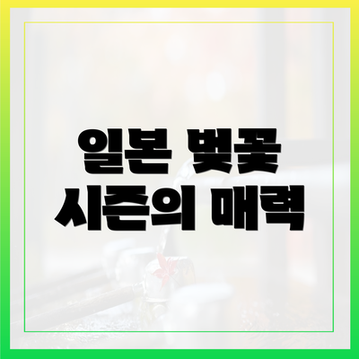 일본 벚꽃 시즌의 매력