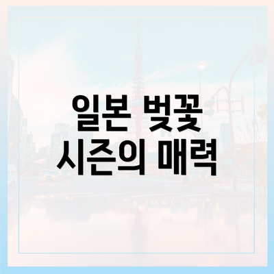 일본 벚꽃 시즌의 매력