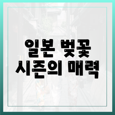 일본 벚꽃 시즌의 매력