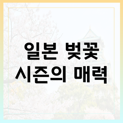일본 벚꽃 시즌의 매력