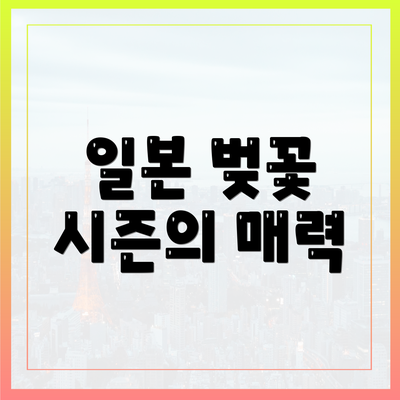 일본 벚꽃 시즌의 매력