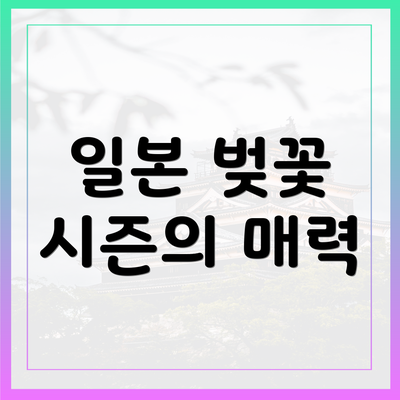 일본 벚꽃 시즌의 매력