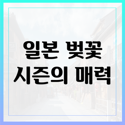 일본 벚꽃 시즌의 매력