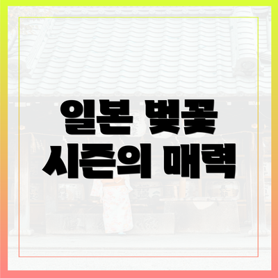 일본 벚꽃 시즌의 매력