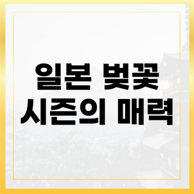 일본 벚꽃 시즌의 매력