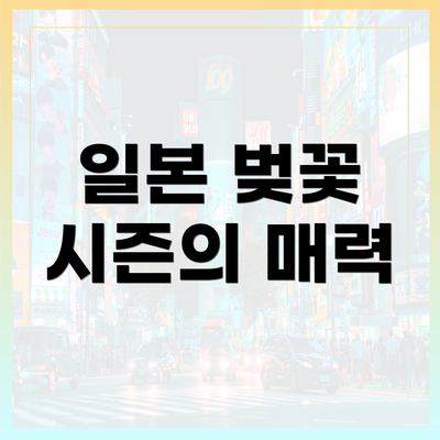 일본 벚꽃 시즌의 매력