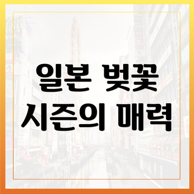 일본 벚꽃 시즌의 매력