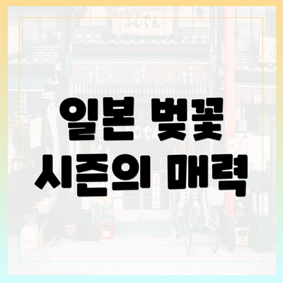 일본 벚꽃 시즌의 매력
