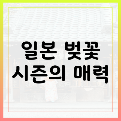 일본 벚꽃 시즌의 매력