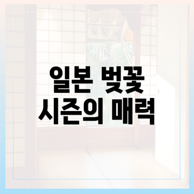 일본 벚꽃 시즌의 매력