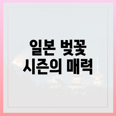 일본 벚꽃 시즌의 매력